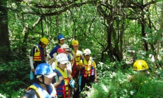 Incursionistas por el bosque